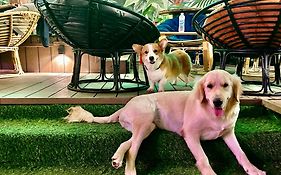 Rom Casa Hostel Da Nang